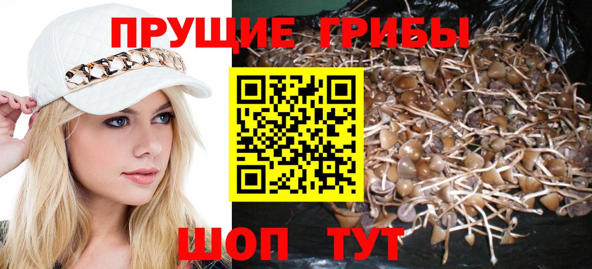 Псилоцибиновые грибы Magic Shrooms  Псилоцибиновые грибы Cubensis  Вход с VPN  Югорск 